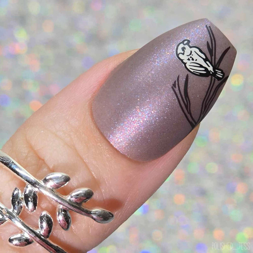 Love Birds (M569) - Nail Stamping Plate