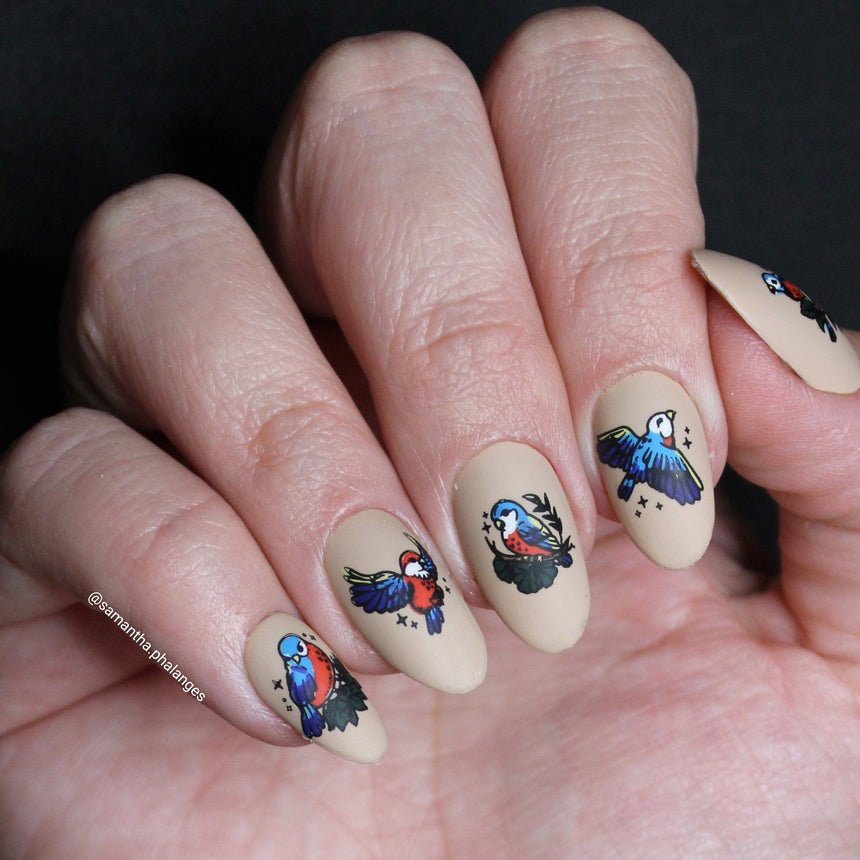 Love Birds (M569) - Nail Stamping Plate
