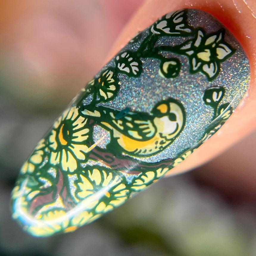 Love Birds (M569) - Nail Stamping Plate