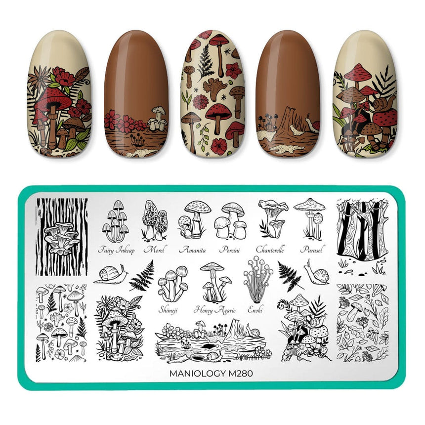 Magic Mushroom: Nail Stamping Starter Kit