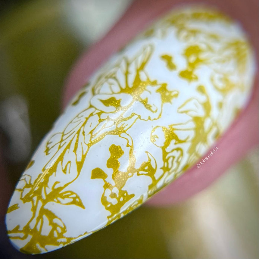 Lacewing (B469) - Metallic Shimmer Green Stamping Polish