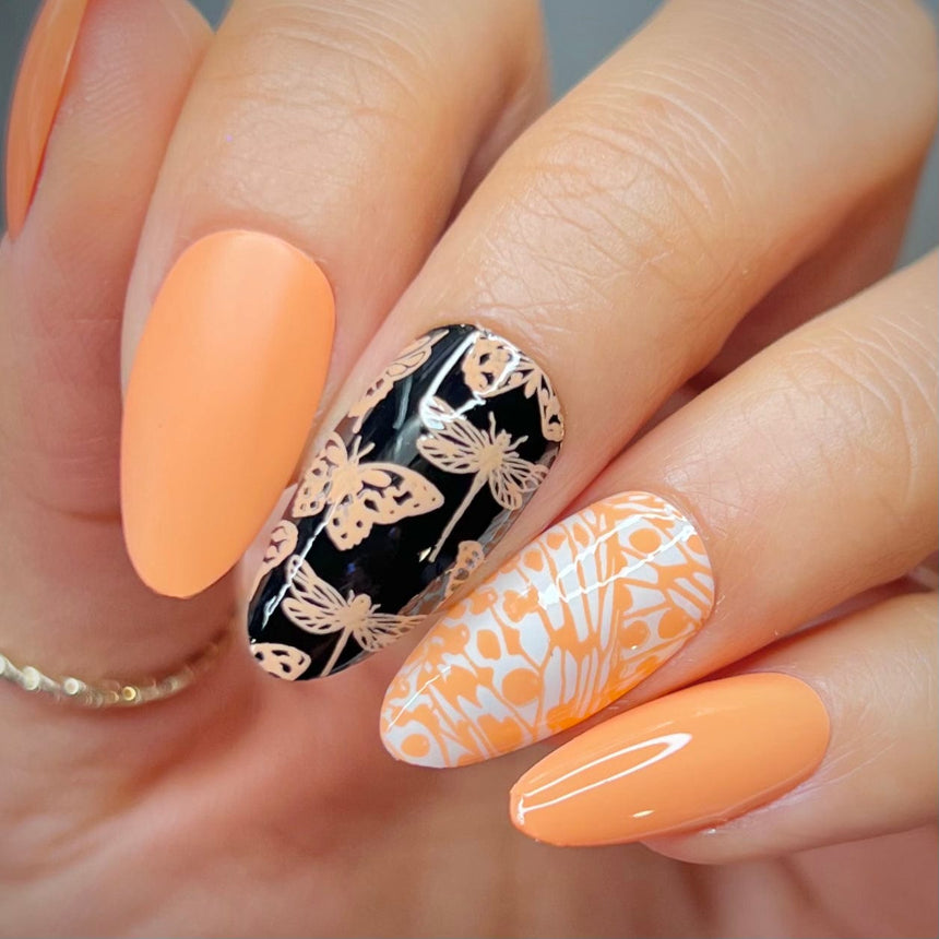 Nectar (B506) - Cream Peachy Orange Stamping Polish