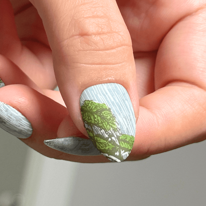 Misty Mornings (M575) - Nail Stamping Plate