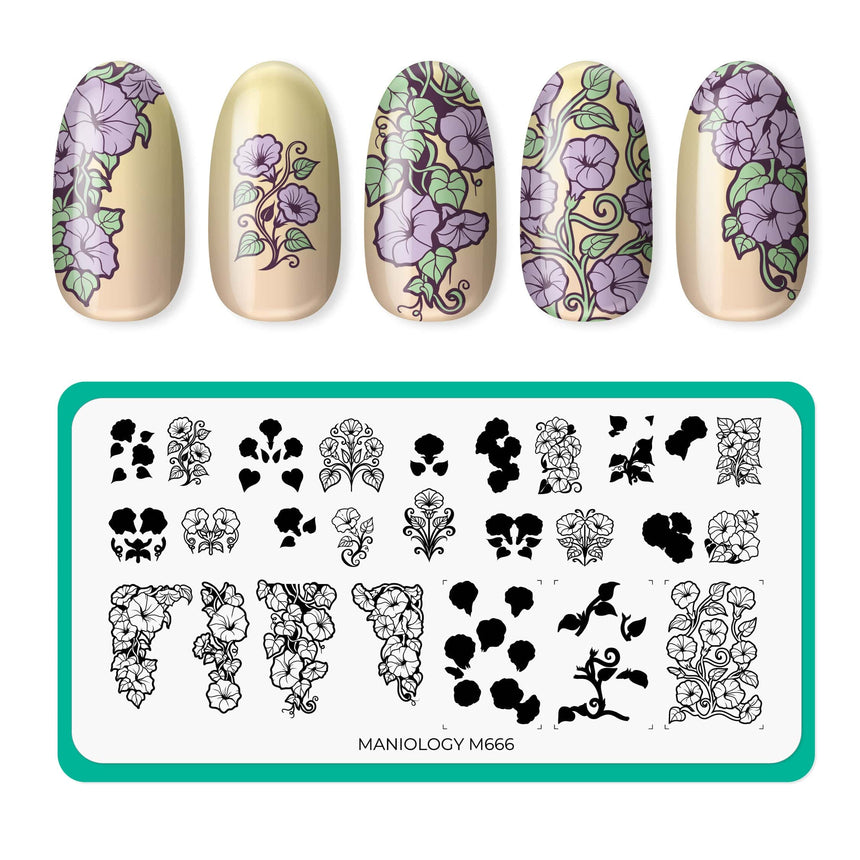 Morning Glory (M666) - Nail Stamping Plate