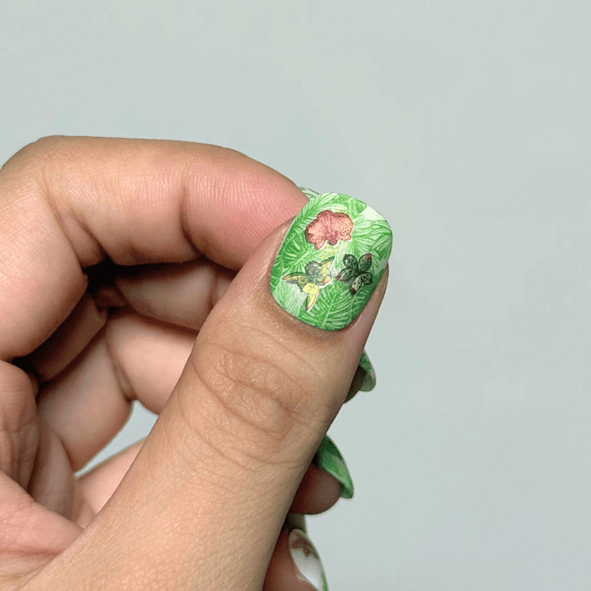 Orchids Garden (MS-132) - Nail Art Sticker