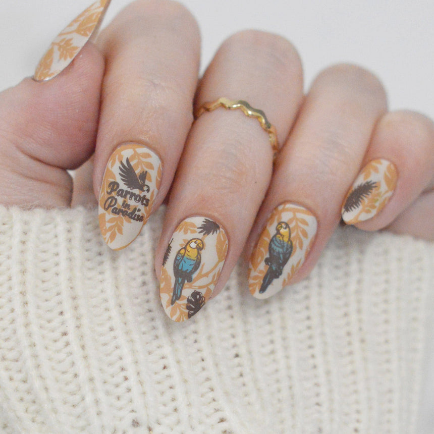 Parrots in Paradise Sanctuary (M624) - Nail Stamping Plate