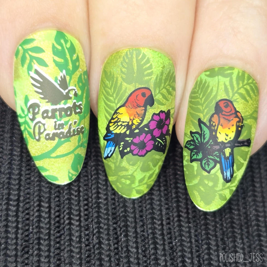 Parrots in Paradise Sanctuary (M624) - Nail Stamping Plate