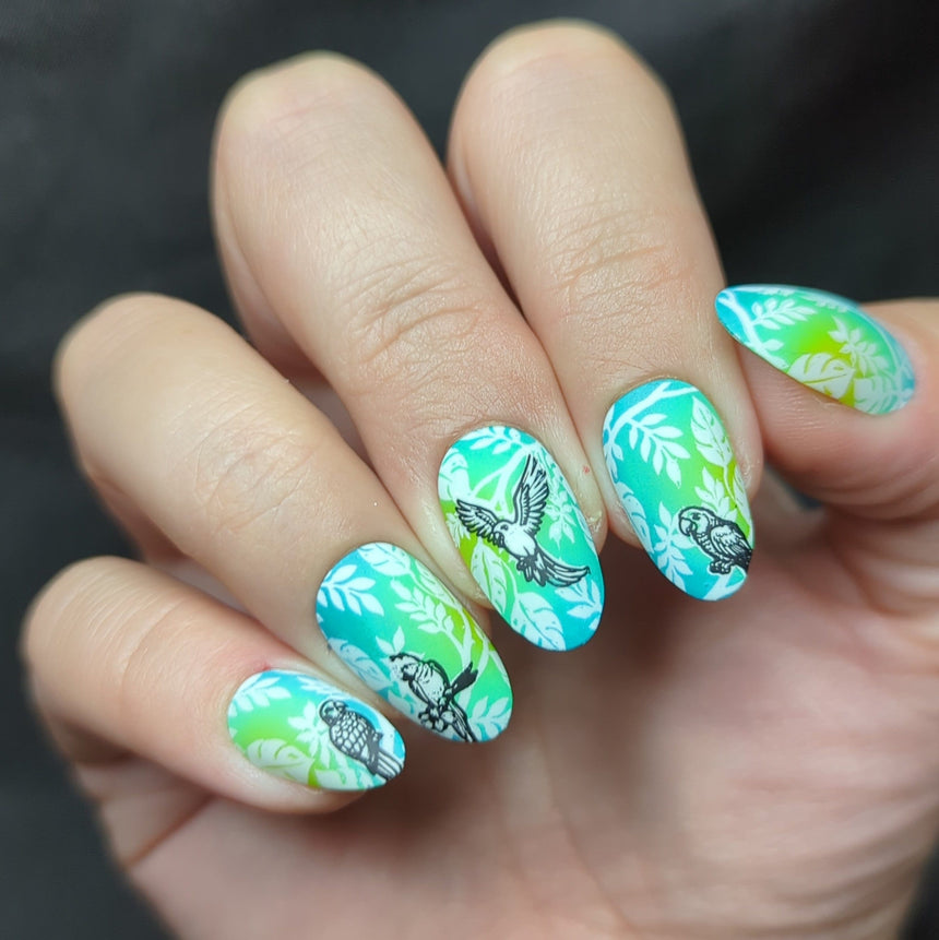 Parrots in Paradise Sanctuary (M624) - Nail Stamping Plate