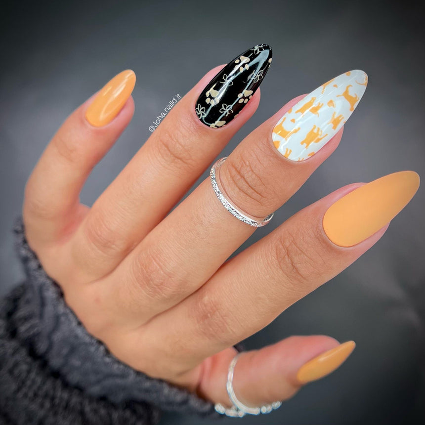 Pawfect (B473) - Coral Cream Stamping Polish