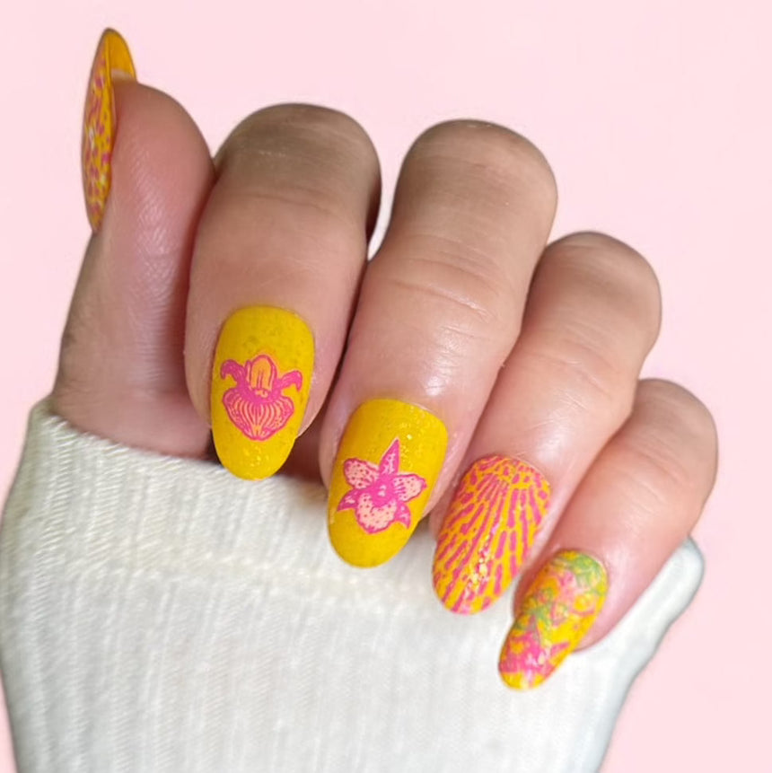 Poised Petals (M606) - Nail Stamping Plate