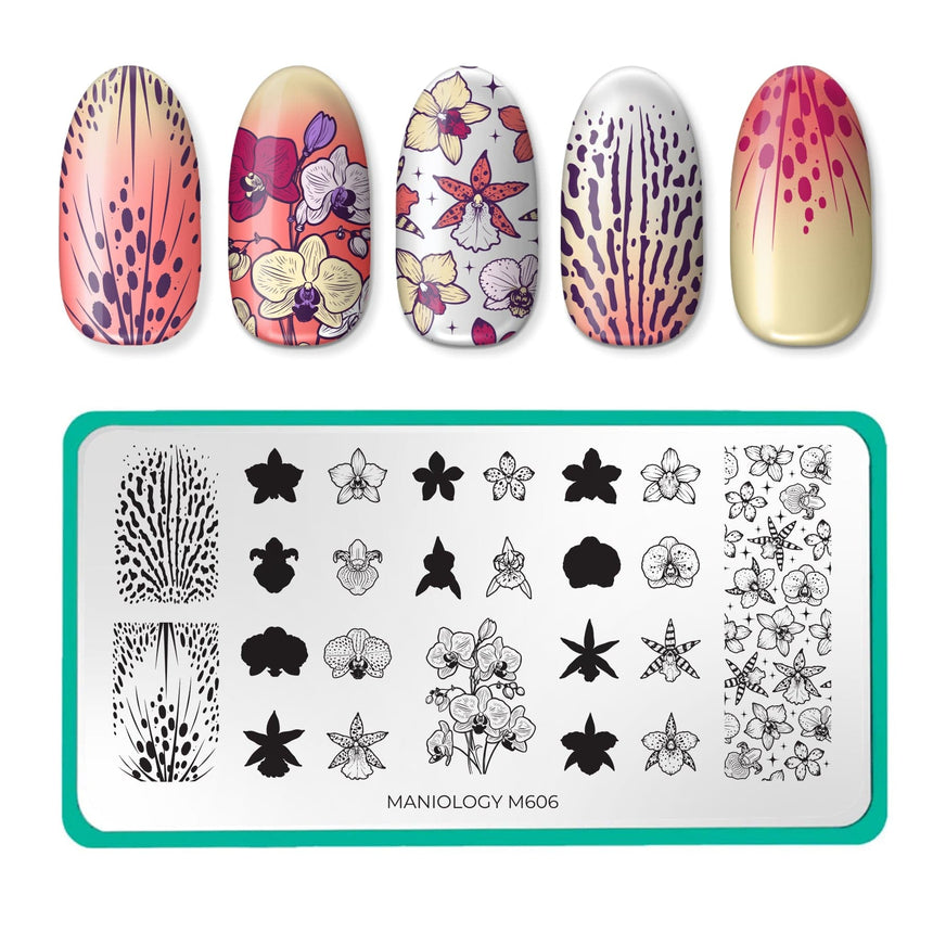 Poised Petals (M606) - Nail Stamping Plate