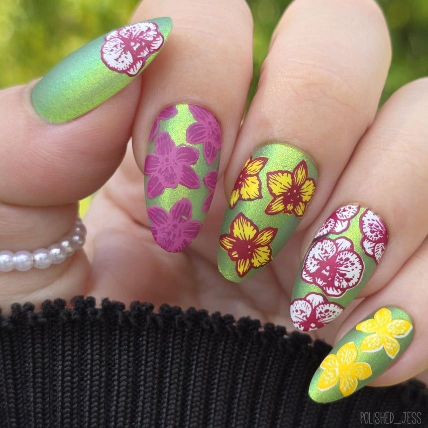 Poised Petals (M606) - Nail Stamping Plate