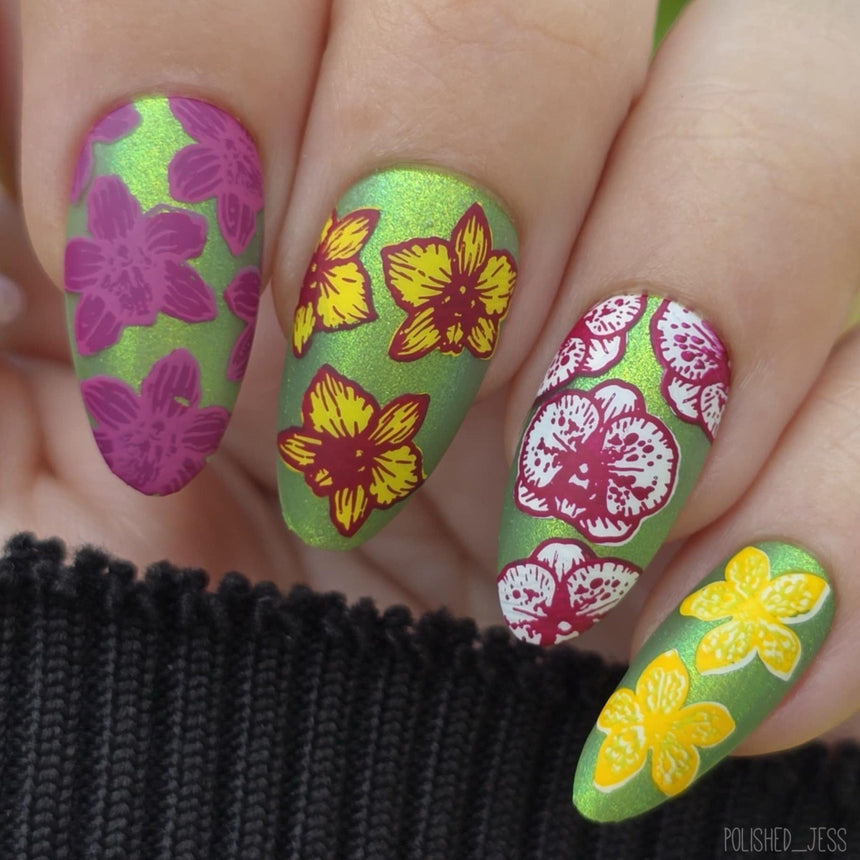 Poised Petals (M606) - Nail Stamping Plate