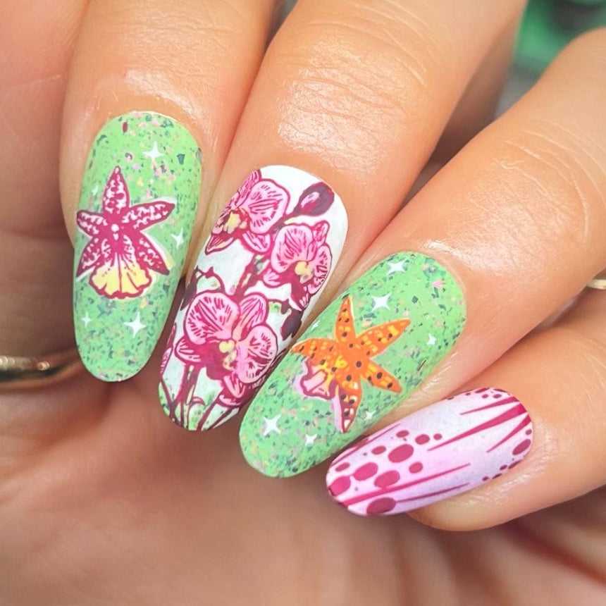 Poised Petals (M606) - Nail Stamping Plate