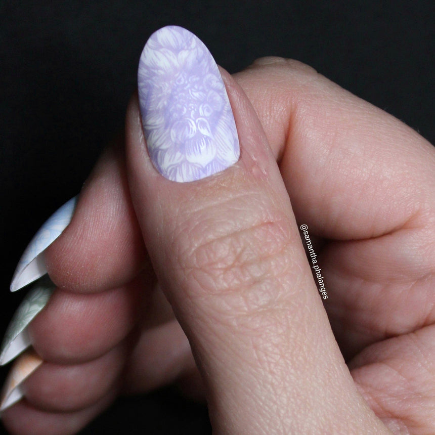 Pretty Petals (M571) - Nail Stamping Plate