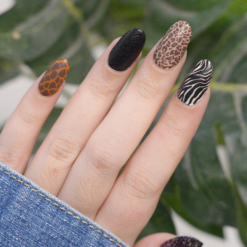 Prowl and Polish (M442) - Nail Stamping Plate