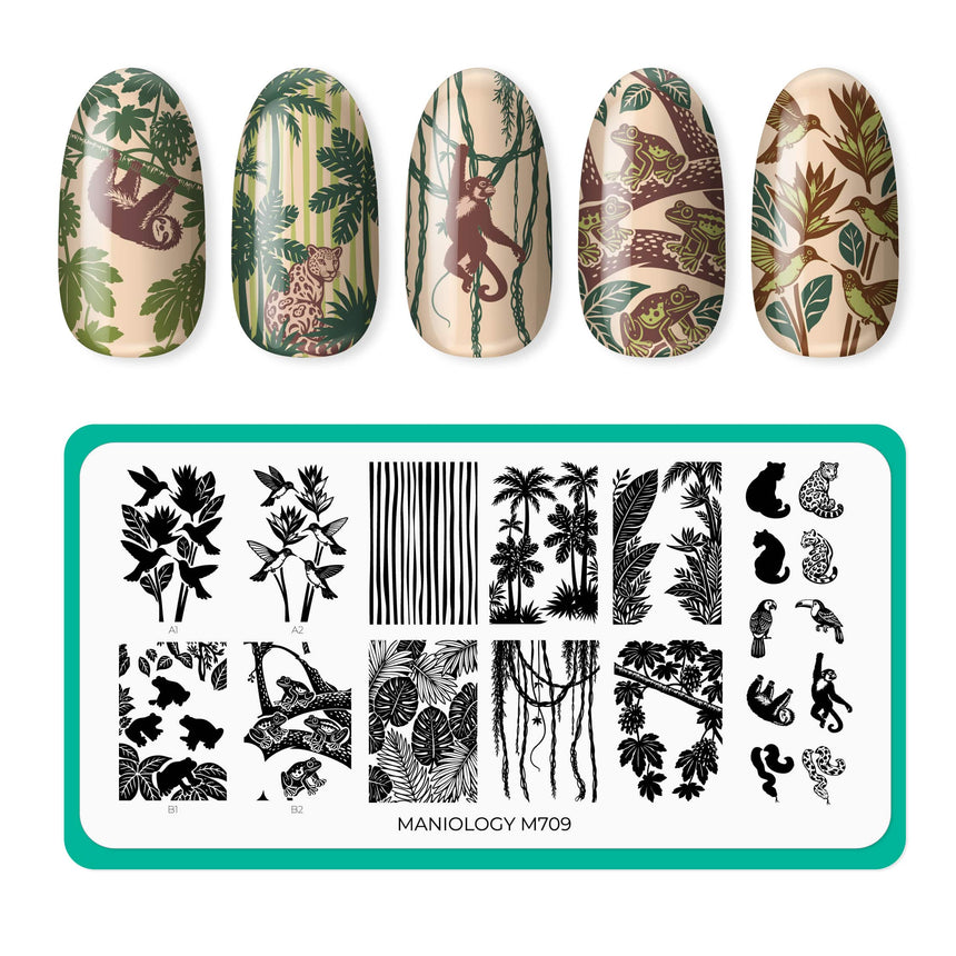 Rainforest Secrets (M709) - Nail Stamping Plate