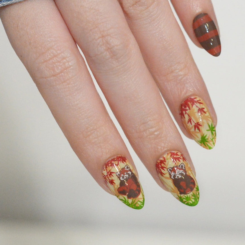 Red Panda (M680) - Nail Stamping Plate