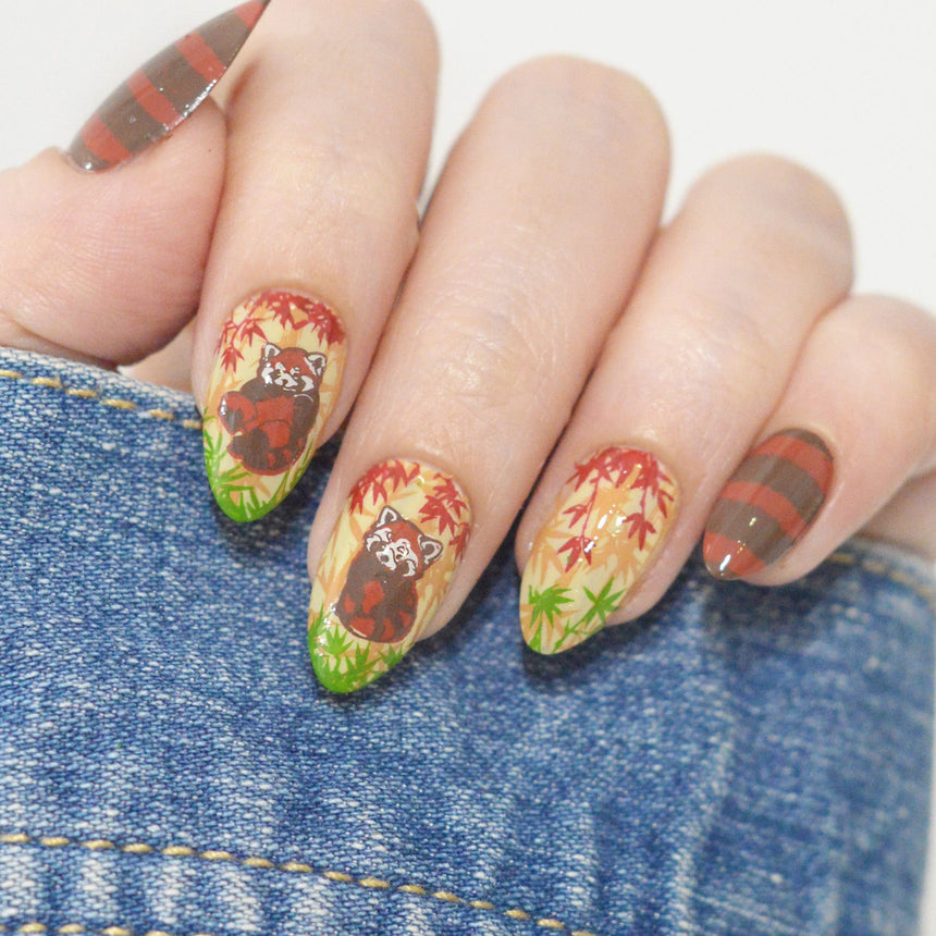 Red Panda (M680) - Nail Stamping Plate