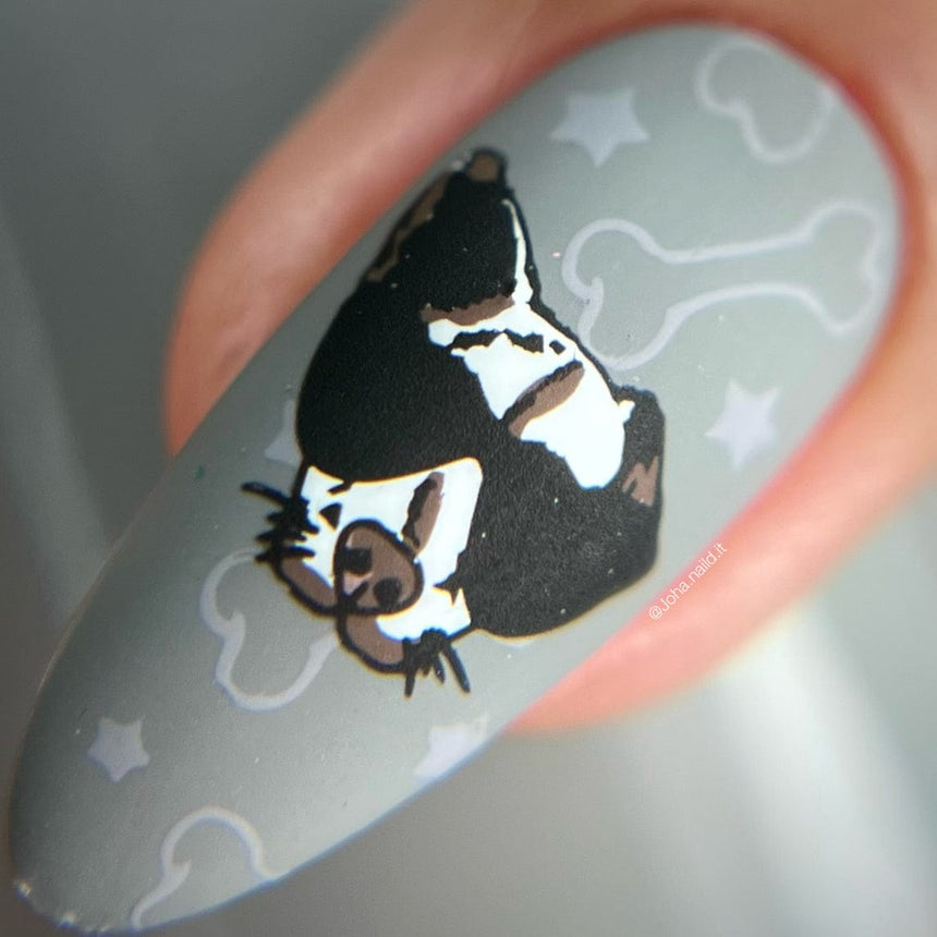 SFAC: Kaua'i Humane Society (M367) - Nail Stamping Plate