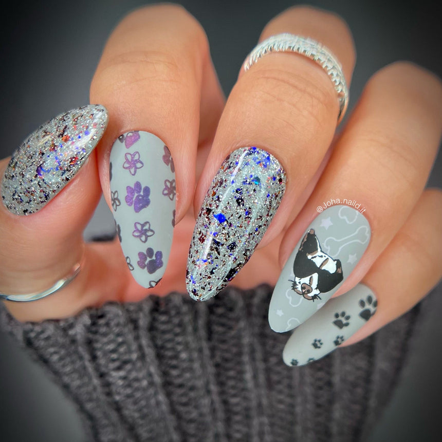 SFAC - Kauai Humane Society Nail Stamping Bundle