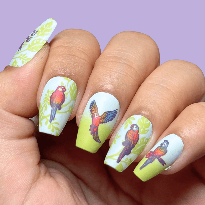 SFAC - Parrots in Paradise Nail Stamping Bundle