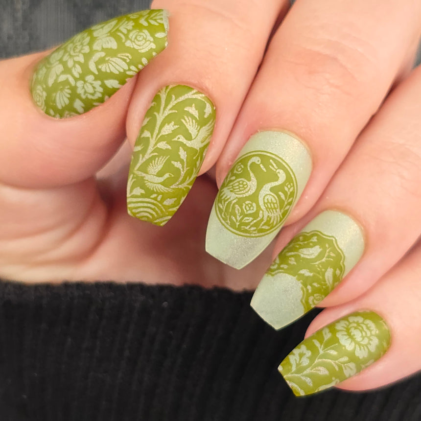 Shell Inlay French (M689) - Nail Stamping Plate