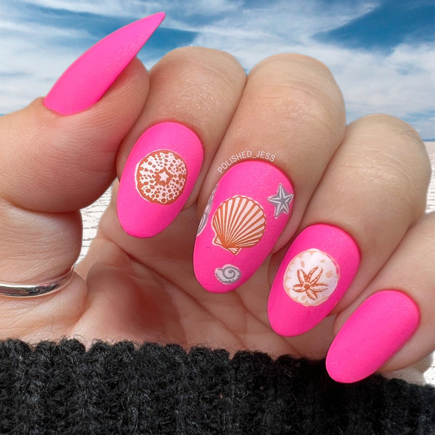 Shell Yeah! (M388) - Nail Stamping Plate