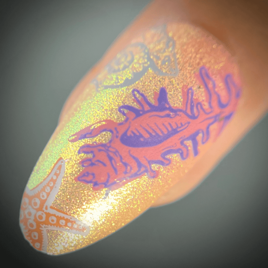 Shell Yeah! (M388) - Nail Stamping Plate