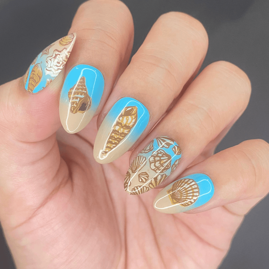 Shell Yeah! (M388) - Nail Stamping Plate