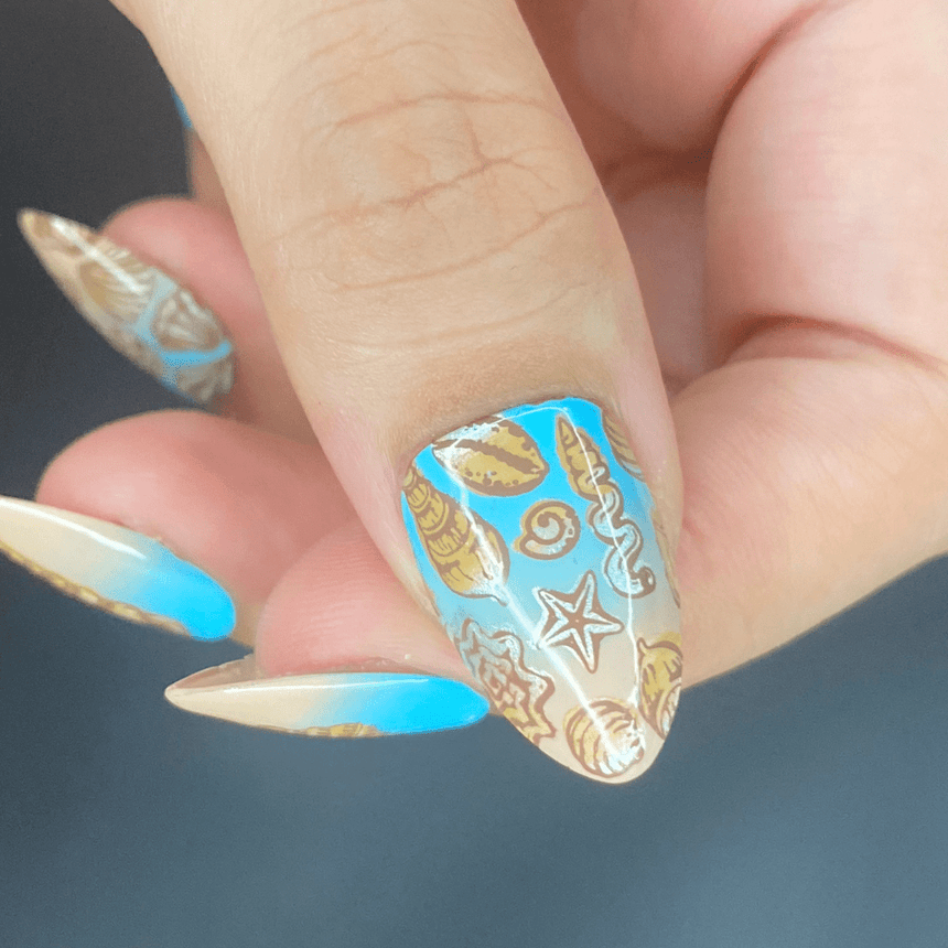 Shell Yeah! (M388) - Nail Stamping Plate