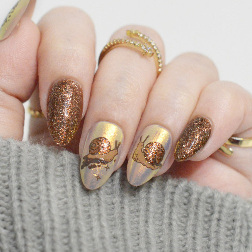 Slow & Steady (M578) - Nail Stamping Plate