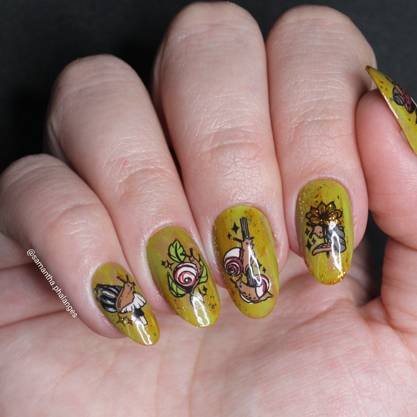 Slow & Steady (M578) - Nail Stamping Plate