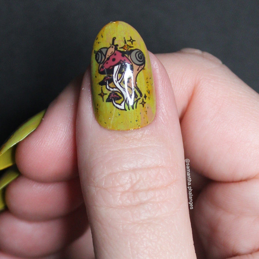 Slow & Steady (M578) - Nail Stamping Plate