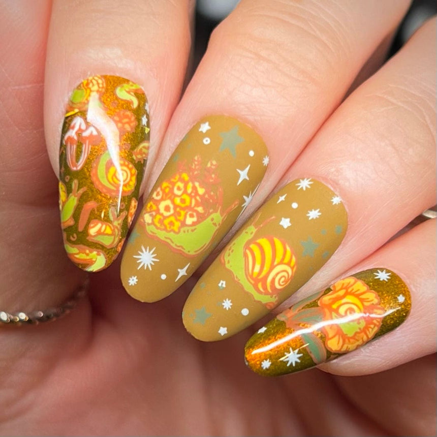 Slow & Steady (M578) - Nail Stamping Plate