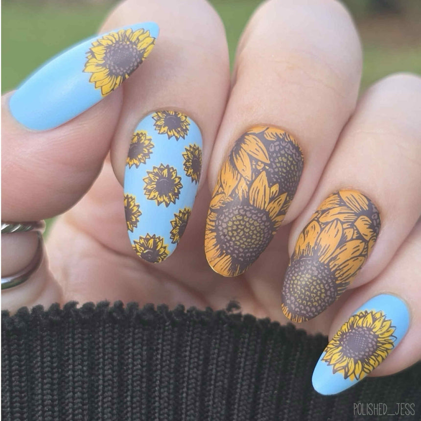 Sunflower Fields (M602) - Nail Stamping Plate