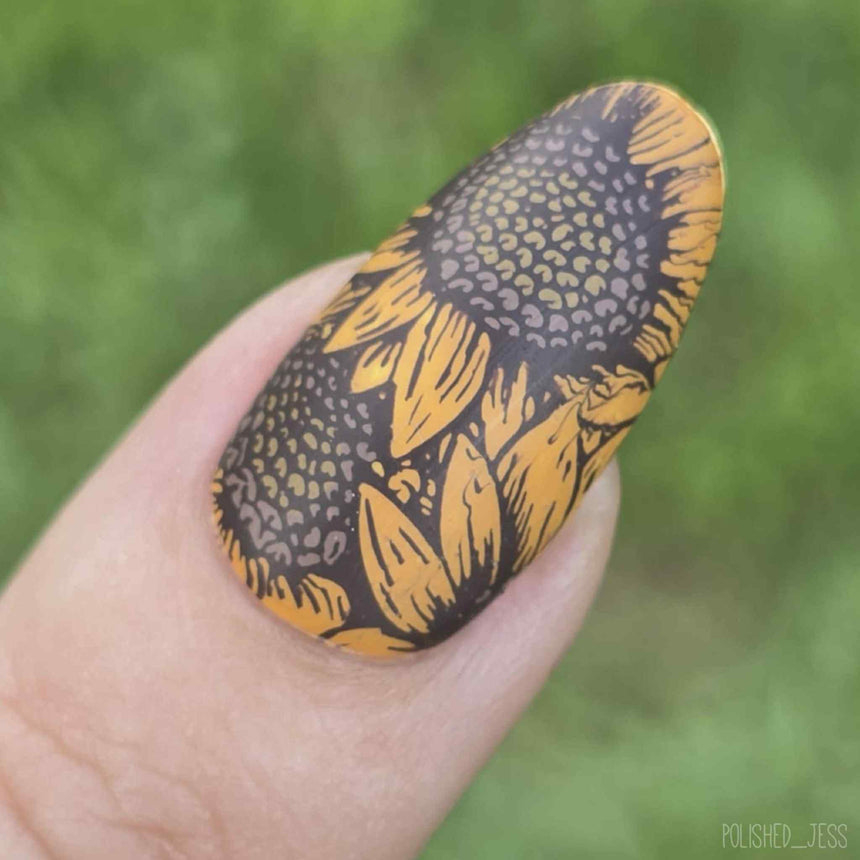 Sunflower Fields (M602) - Nail Stamping Plate