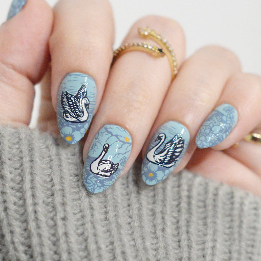 Swan Lake (M573) - Nail Stamping Plate