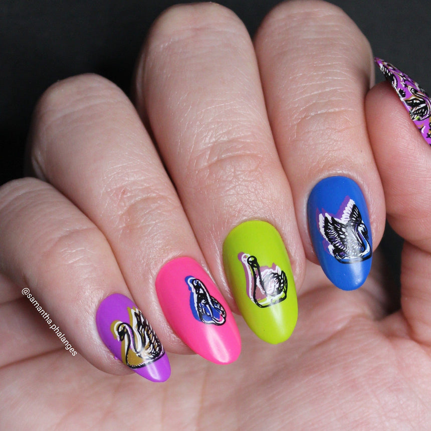 Swan Lake (M573) - Nail Stamping Plate