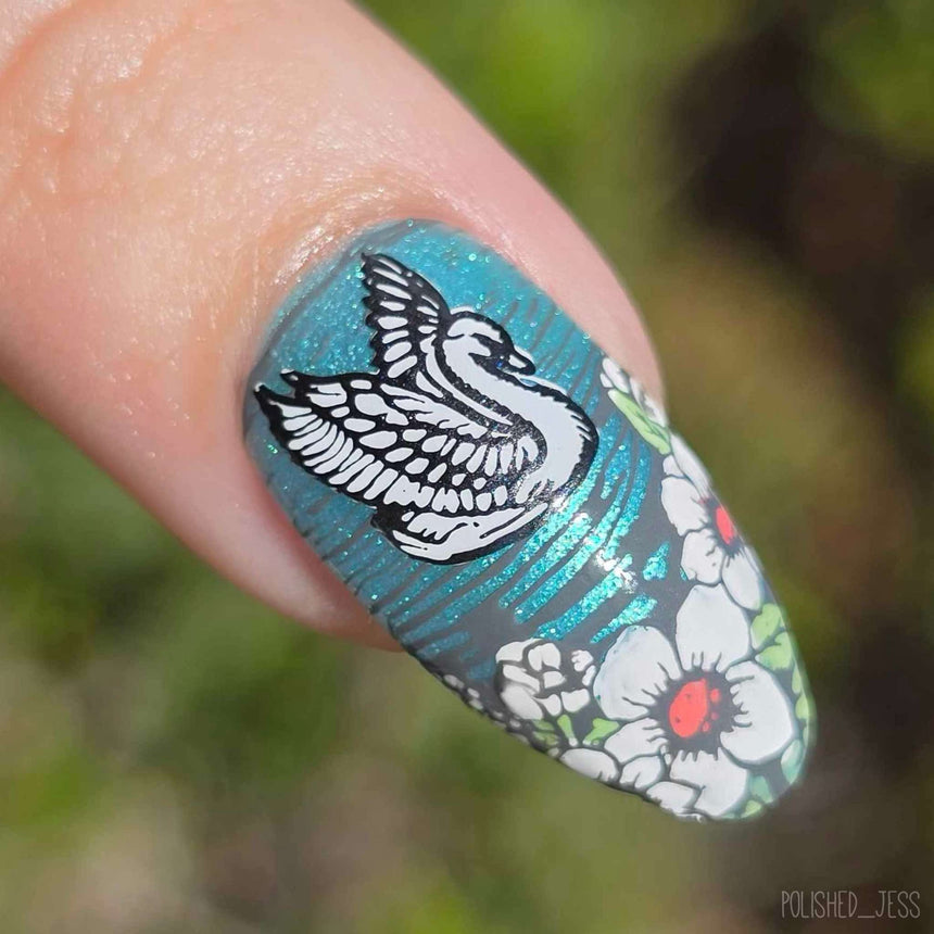 Swan Lake (M573) - Nail Stamping Plate