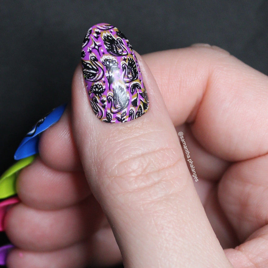 Swan Lake (M573) - Nail Stamping Plate