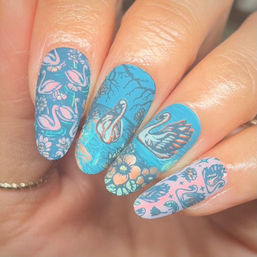 Swan Lake (M573) - Nail Stamping Plate
