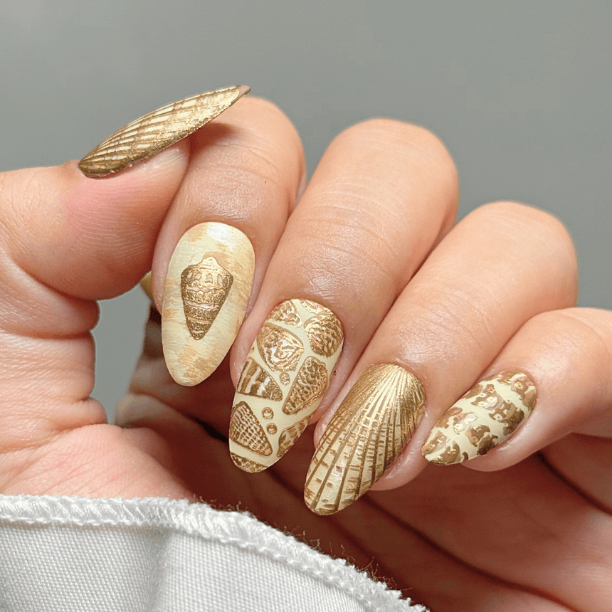 Tidepool Trinkets (M605) - Nail Stamping Plate