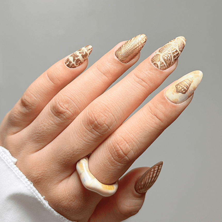 Tidepool Trinkets (M605) - Nail Stamping Plate