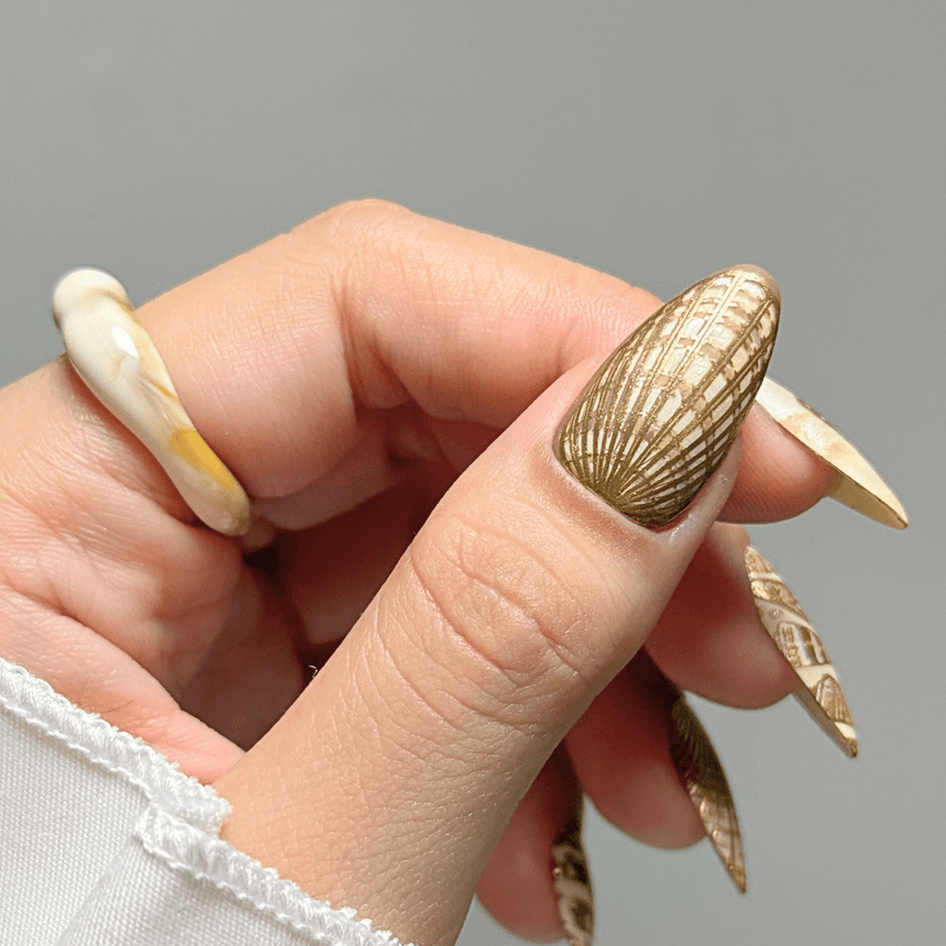 Tidepool Trinkets (M605) - Nail Stamping Plate