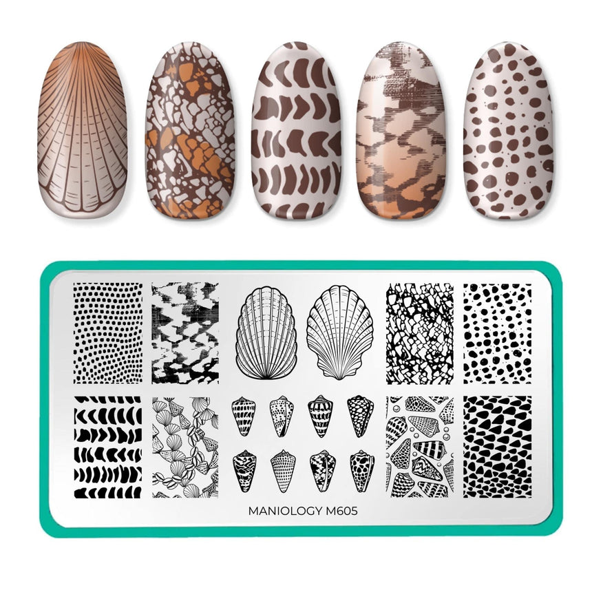Tidepool Trinkets (M605) - Nail Stamping Plate