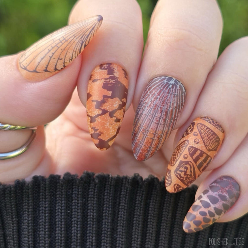 Tidepool Trinkets (M605) - Nail Stamping Plate