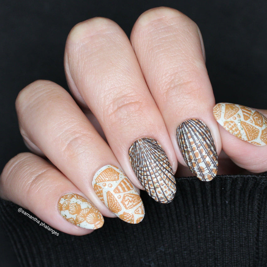 Tidepool Trinkets (M605) - Nail Stamping Plate