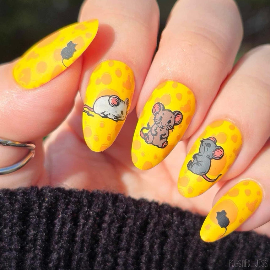 Tiny Whiskers (M581) - Nail Stamping Plate