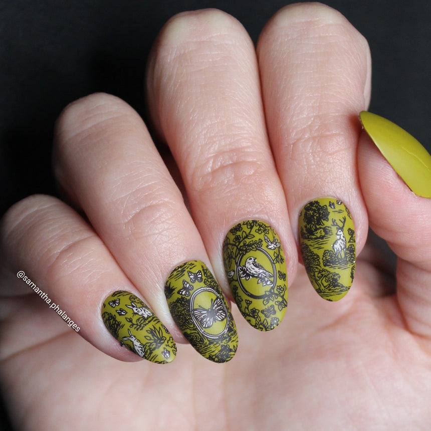 Toile De Jouy (M566) - Nail Stamping Plate